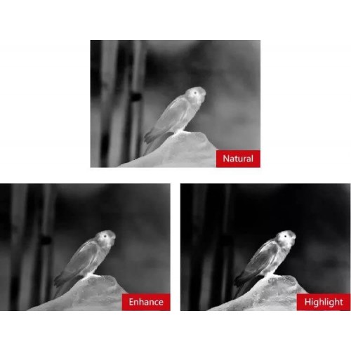 Тепловизионный бинокуляр Guide TN430 400х300, ø35мм, лазерный дальномер в Севастополе