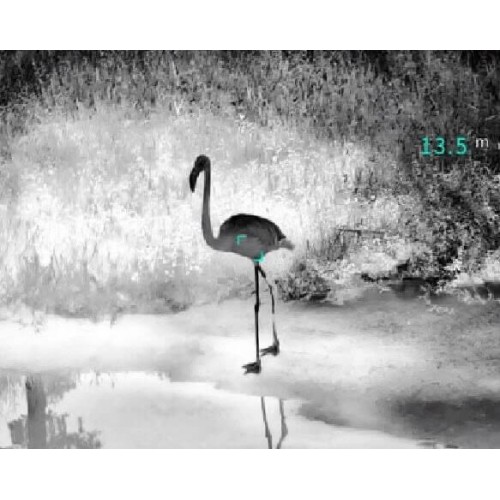 Тепловизионный бинокуляр Guide TN430 400х300, ø35мм, лазерный дальномер в Севастополе