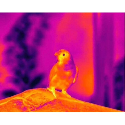 Тепловизионный бинокуляр Guide TN430 400х300, ø35мм, лазерный дальномер в Севастополе